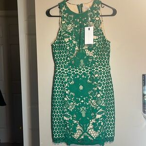 GORGEOUS NWT Dress by Endless Rose size S. Kelly green lace over tan lining.